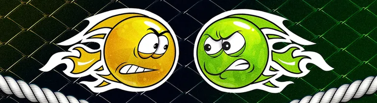 Международная лига ММА